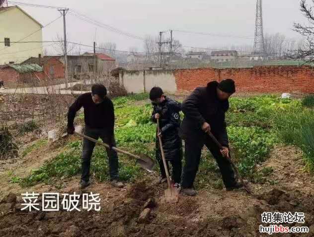 【时空相隔  教育在线】（9）寒假生活•实践活动