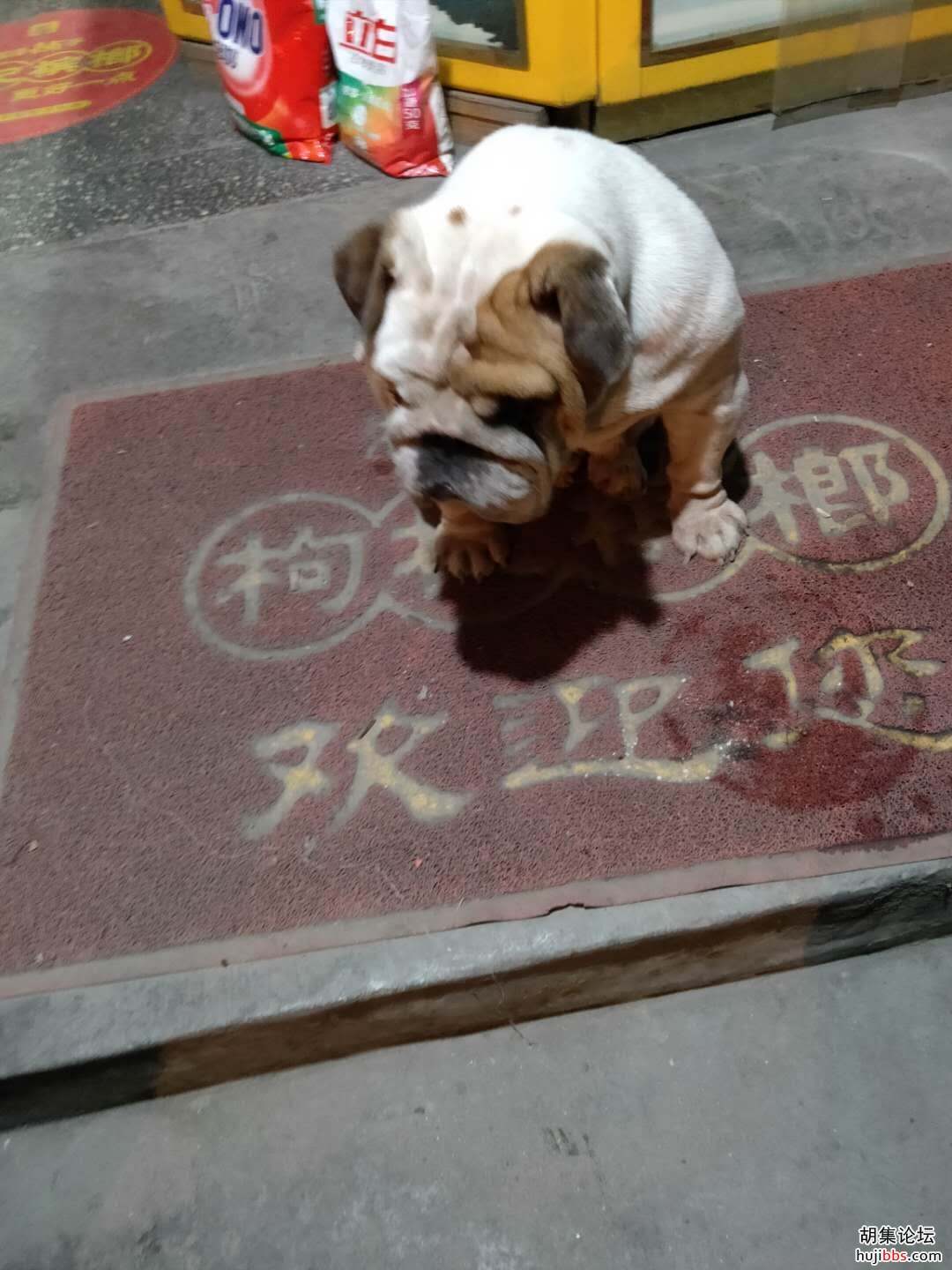 wechat_upload16130928546025d7f6d2a0c