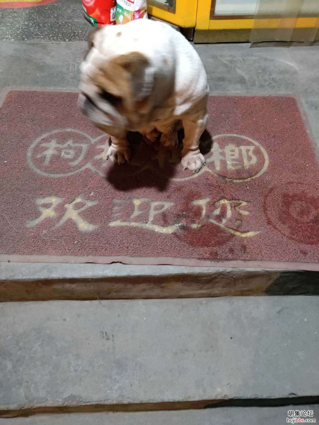 wechat_upload16130928576025d7f91e5be