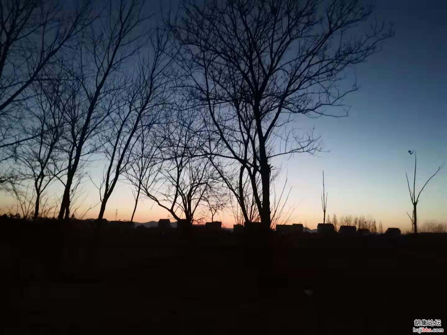 【时空相隔  教育在线】（6）寒假生活•亲近自然  记录美好