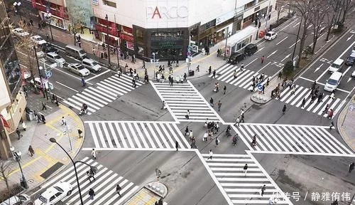 交警提示：马路上的5种交通地标线，车主需要及时了解！