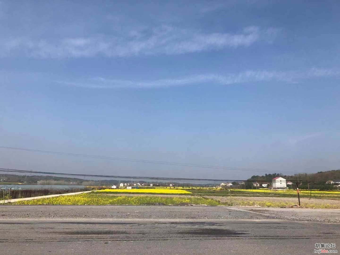 胡集207国道路段-胡集，一路随拍！2021年3月