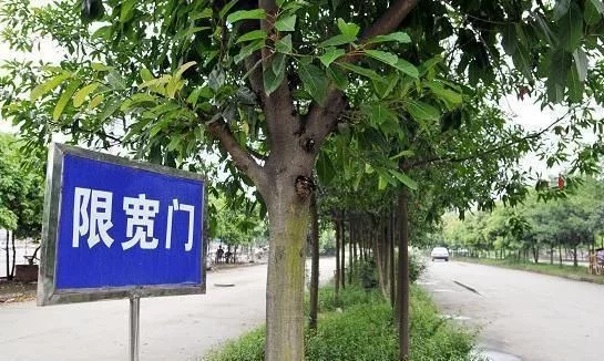 驾考难度再升级，科二变成9项，学员：已经挂了4次了