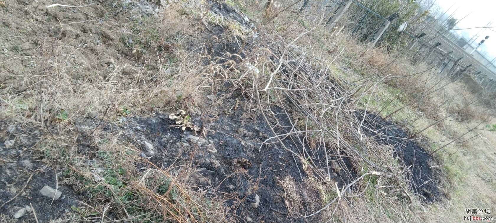 小草有生命，烧草需谨慎