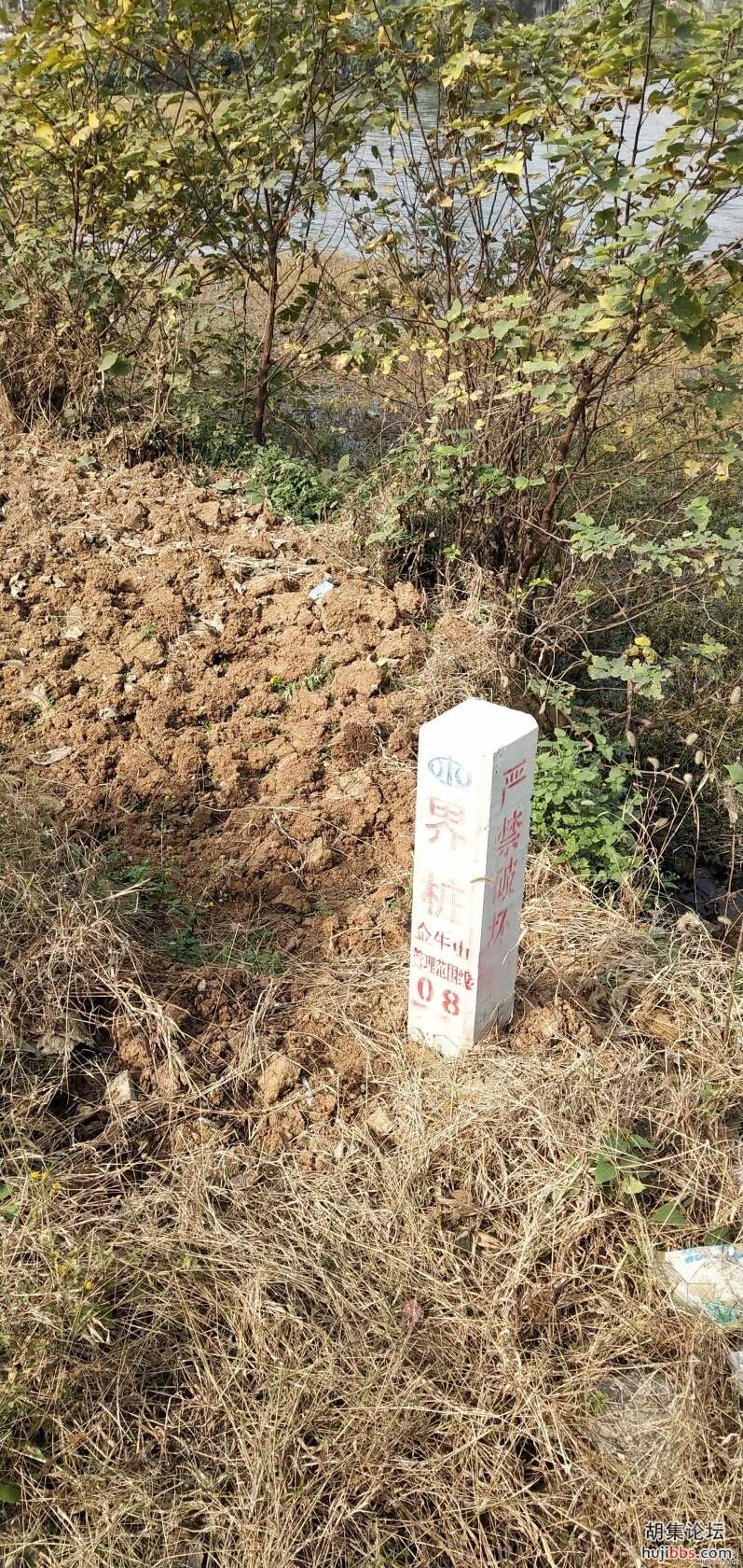 金牛山社区与金山社区的分界碑