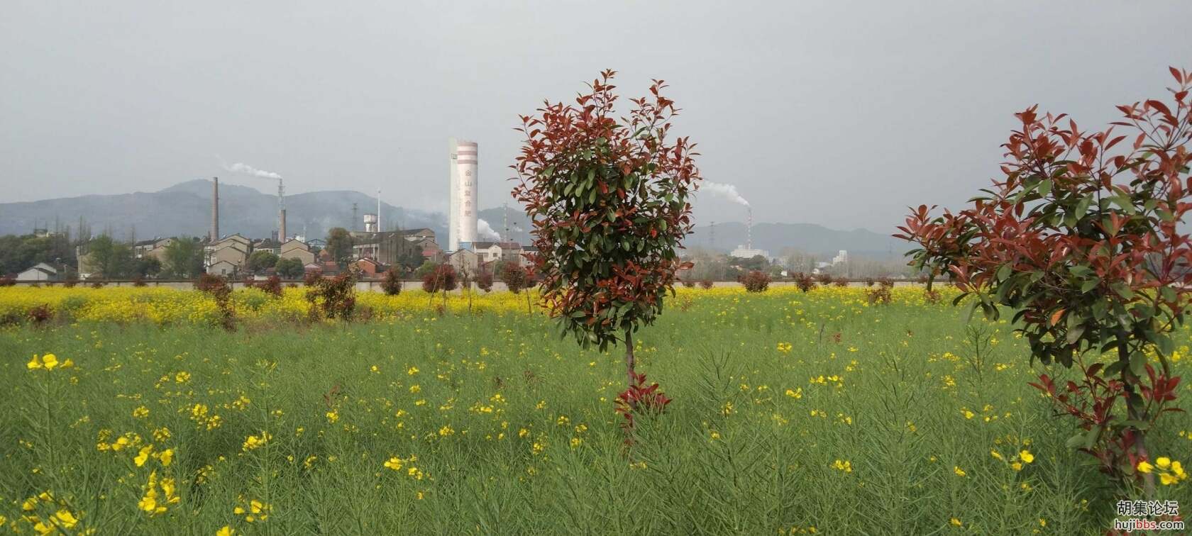 荆襄西区风采