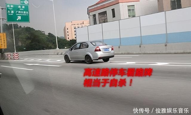 t019b3d812a9b80fd19.jpg