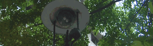 d9ae5409c7081cef480b05b6190cfb1d.gif