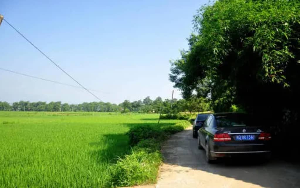 t01694544db9833cc14.jpg