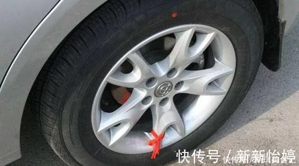 t0136bfa8e6c7b53bec.webp