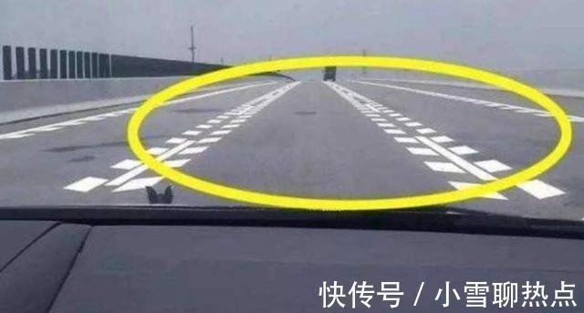 t01360b0d919920390f.jpg