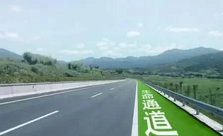 t016021824d7123fffb.webp