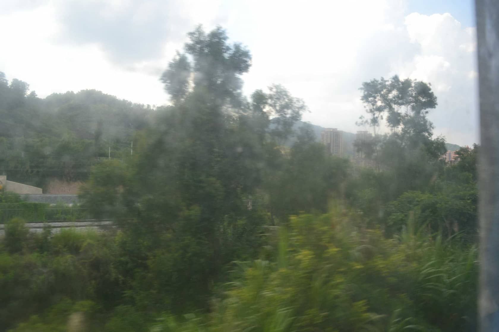 DSC_4544.JPG
