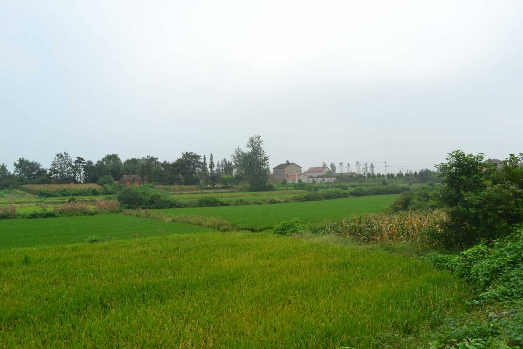 DSC_4607.JPG