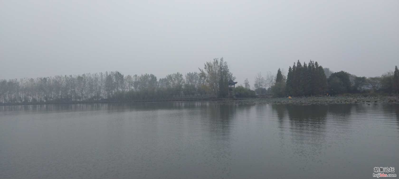 IMG_20211029_102519.jpg