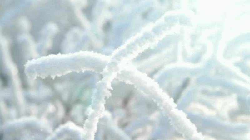 9255ef69c0f51a21921fffbf8878008b.gif
