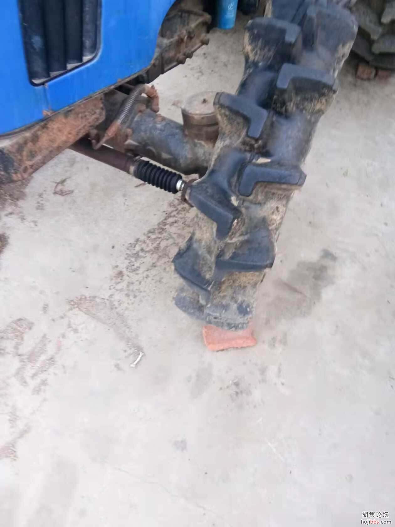mmexport1649847077504.jpg