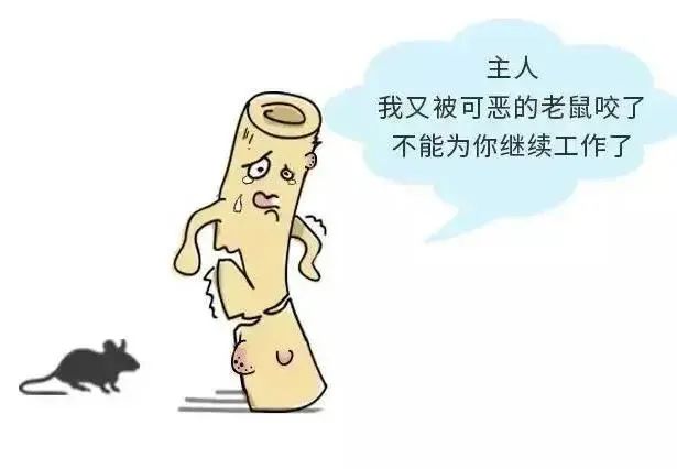 b218f1d8188eb54cf6fa18ed08567f28.jpg