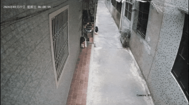 60cb6a1fc396a08fd2c5054f5f015cb6.gif