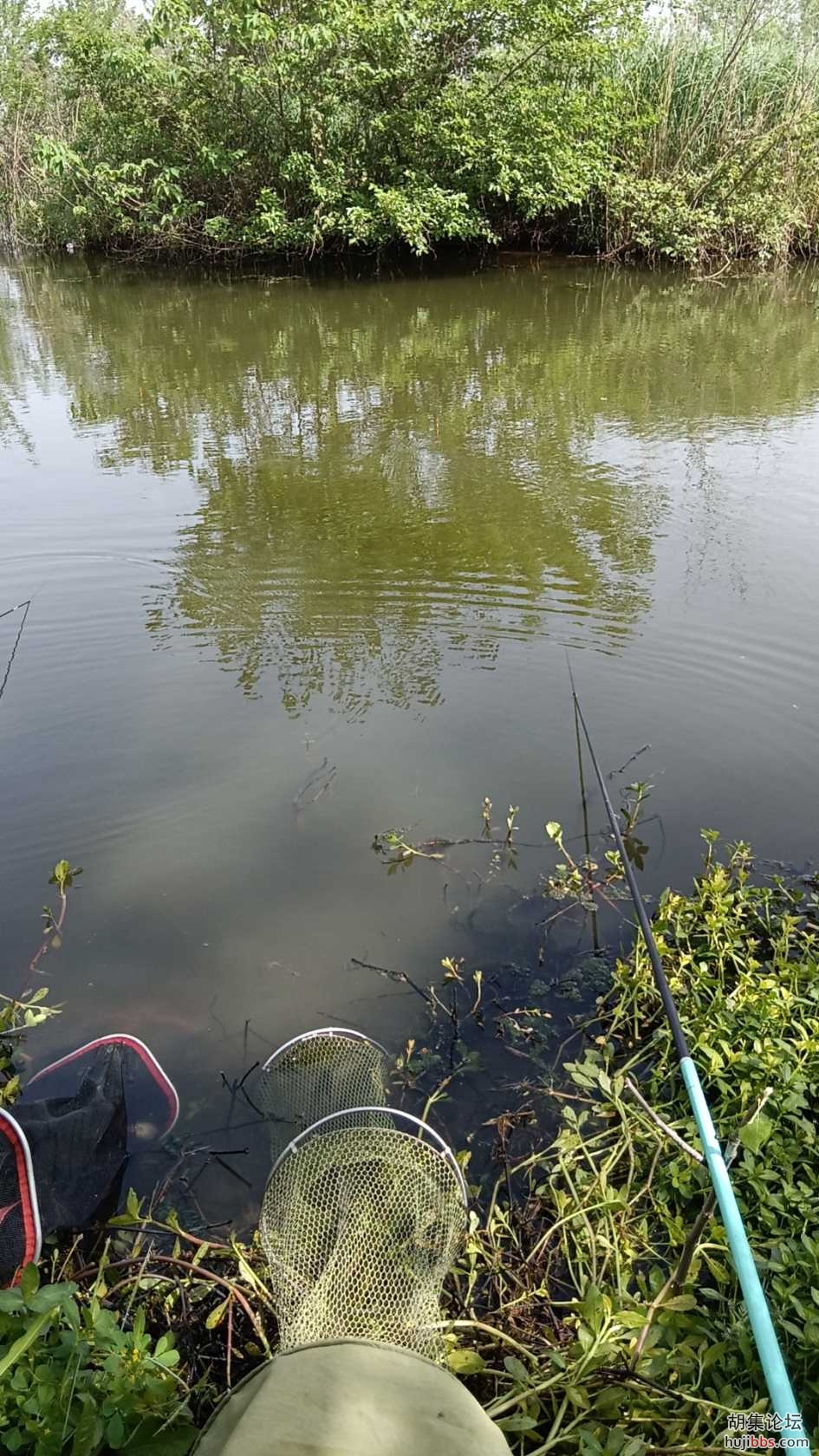 wx_camera_1713856288741.jpg