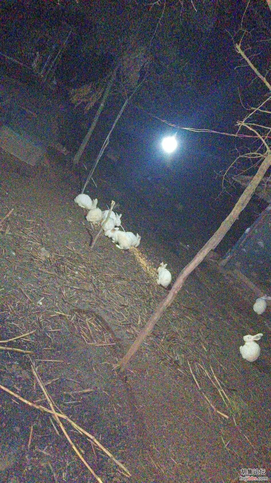 wx_camera_1714842611922.jpg