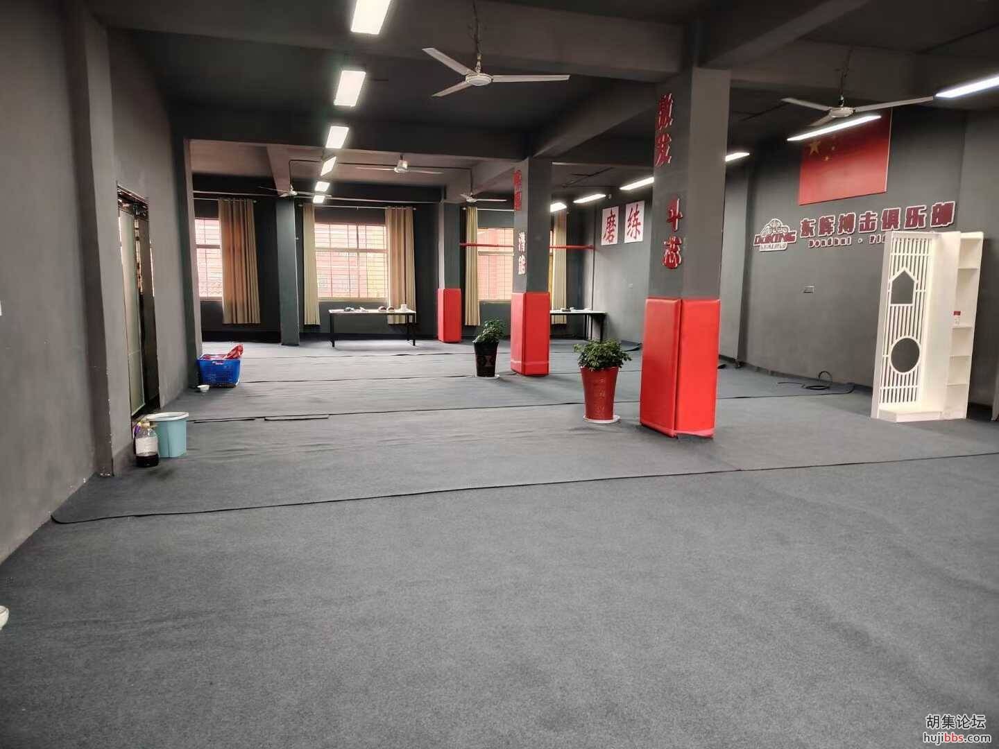 mmexport1715299402647.jpg