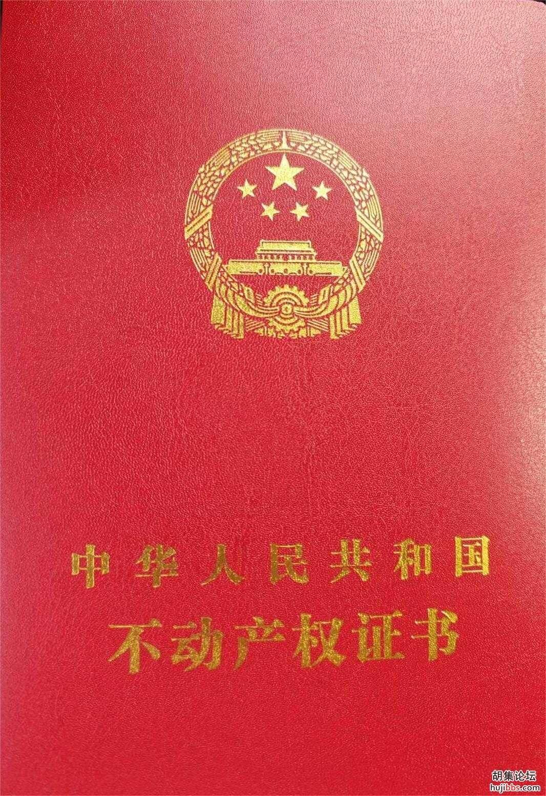 170406dipuglzqsggjsgag.jpg