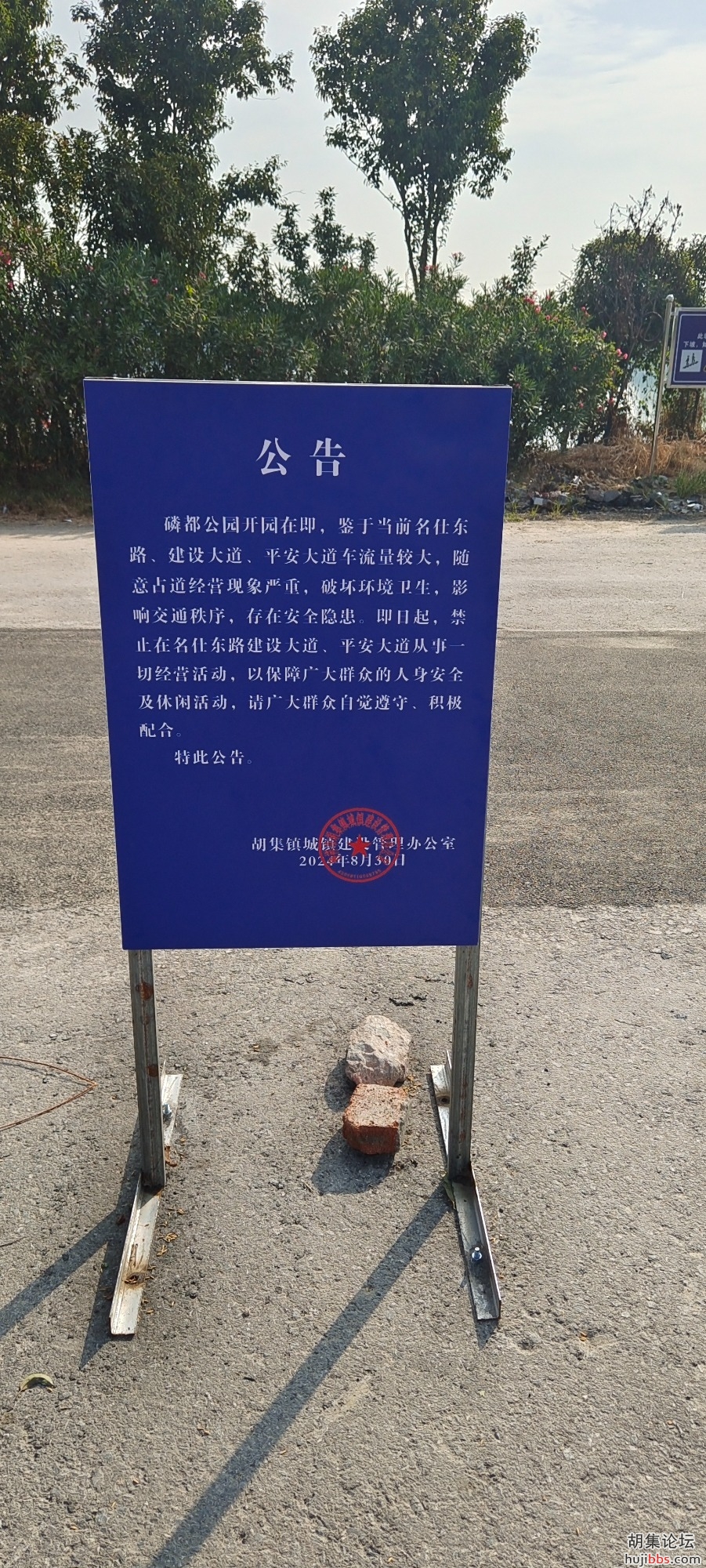 IMG_20240925_084532.jpg
