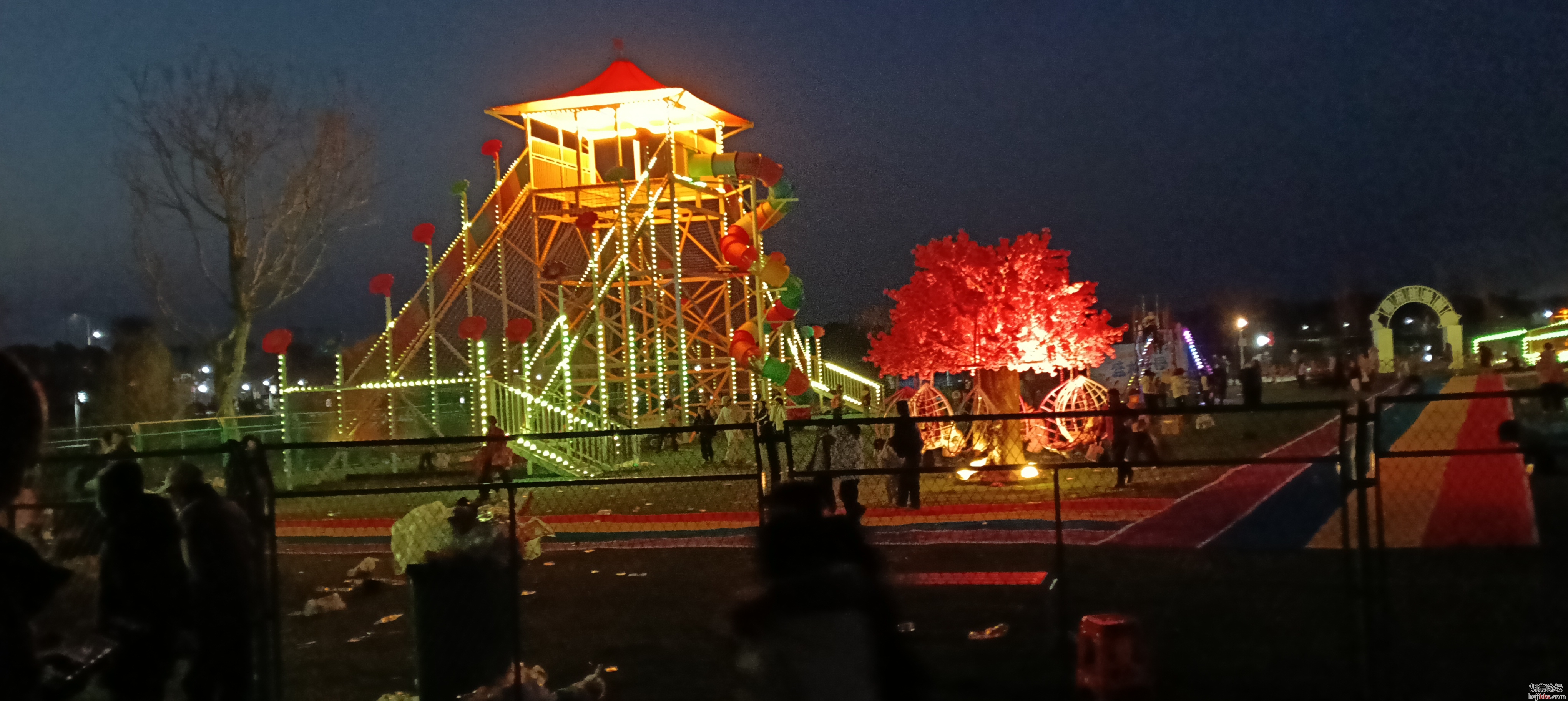 IMG20250215185148.jpg
