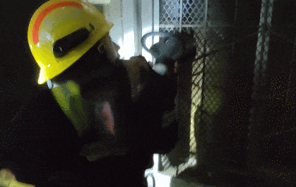 6D60319CD40456414765003DB378019910742215_size1787_w419_h265.gif