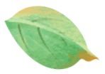 8ad79c80a4f2ae085d021dc814e2a2ed.gif