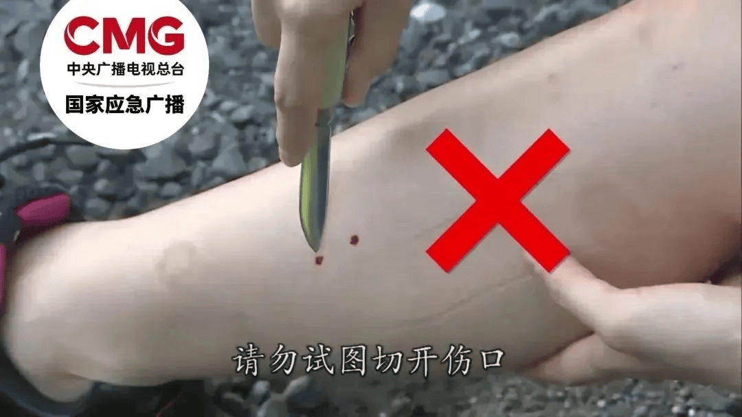 660454efb71d4a59bf35fcbcf8bb334d.png