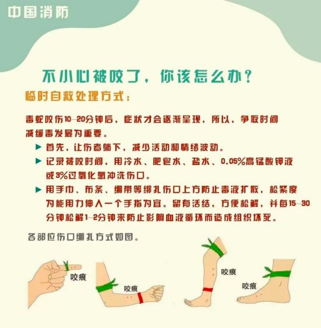 ?url=http%3A%2F%2Fdingyue.ws.126.net%2F2025%2F0605%2F89ba5406j00sxdjkw00n9d000sg00t0c.jpg