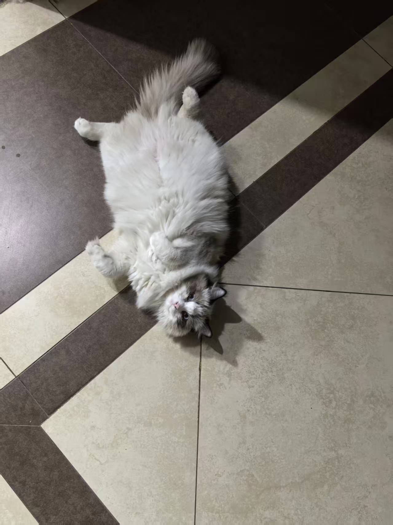 微信图片_20250716172755.jpg