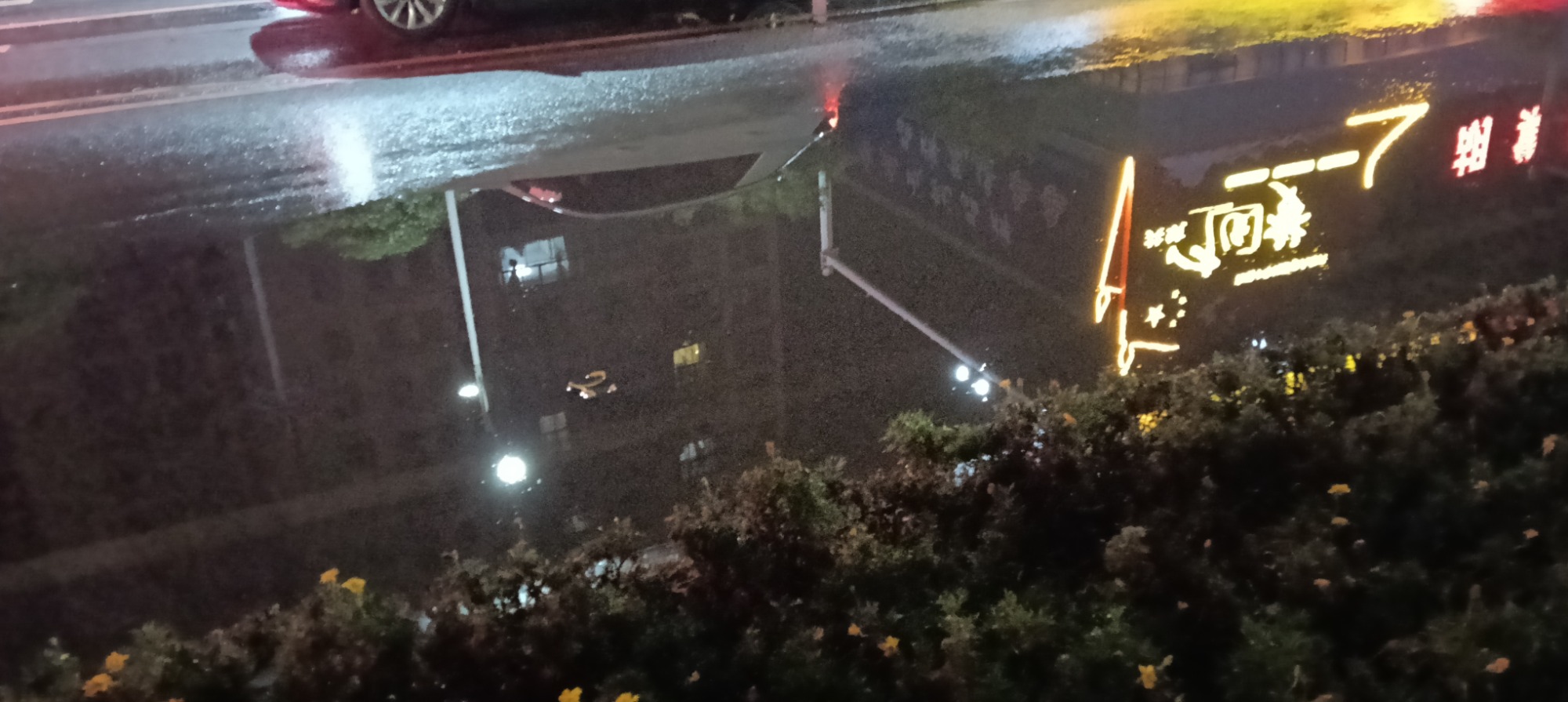 IMG20250727201019.jpg