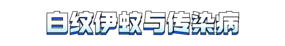 3364CE181428F247B383922D96DA8FEA700C81F2_size92_w1080_h176.png