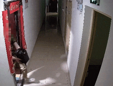 BA33D842E2440CA35261E14DE259BD897169C510_size319_w370_h284.gif