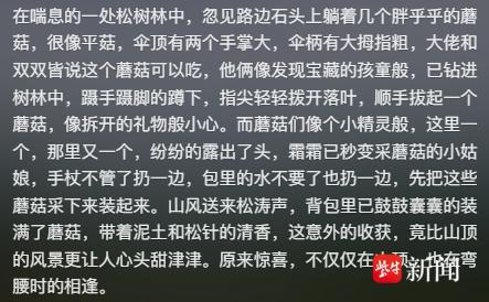 ?url=http%3A%2F%2Fdingyue.ws.126.net%2F2025%2F0816%2F3ee73ac1j00t128px000zd000cb007mm.jpg
