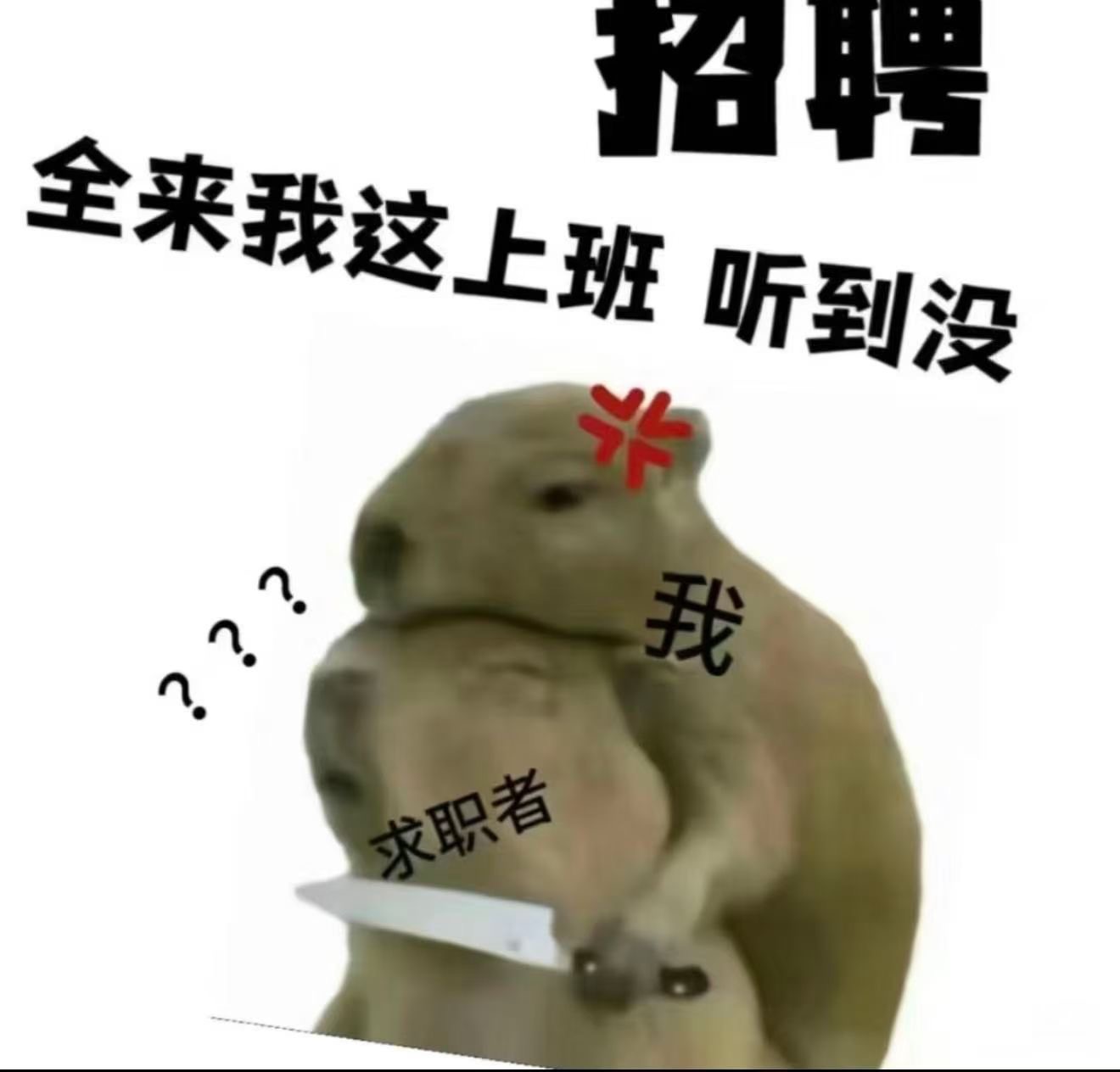 5266fc9de2a37e45cd417f08fe430527.jpeg
