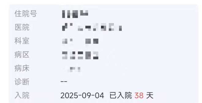 ?url=http%3A%2F%2Fdingyue.ws.126.net%2F2025%2F1012%2F308e57f8j00t40on9000dd000lw00b7g.jpg