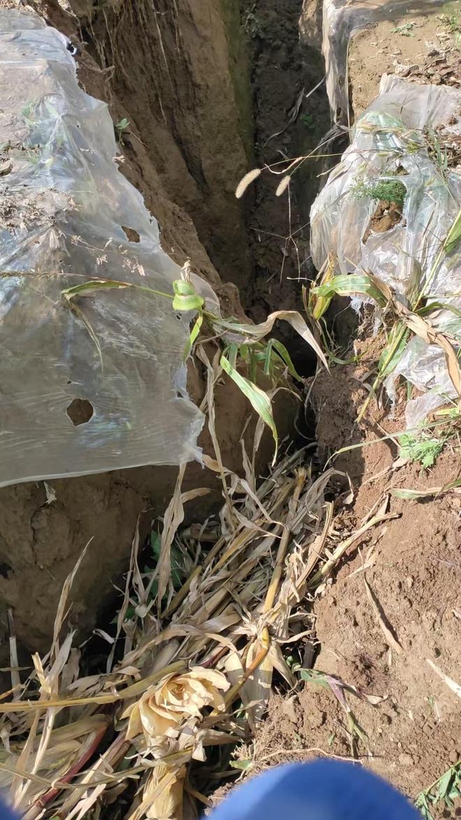 ?url=http%3A%2F%2Fdingyue.ws.126.net%2F2025%2F1028%2F9ca83790j00t4u8oh009jd000u001hcg.jpg ?url=http%3A%2F%2Fdingyue.ws.126.net%2F2025%2F1028%2F9ca83790j00t4u8oh009jd000u001hcg.jpg