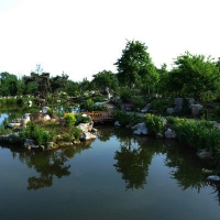 湖北野生植物繁育基地——湖北紫园