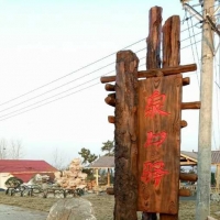 走进胡集最美乡村泉口村